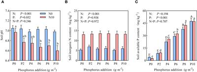 Responses in species diversity in the Hulunbuir grassland to phosphorus addition under nitrogen-limiting and non-limiting conditions